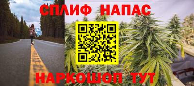 молекула духа Бузулук