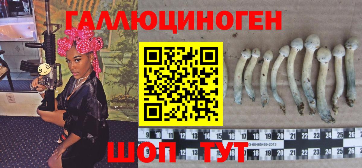 Галлюциногенные грибы MAGIC MUSHROOMS Унеча